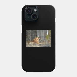 Big Cat Hybrid Phone Case