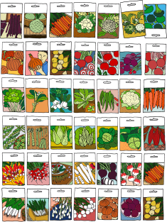 Veggie Seeds Pattern 1 Magnet