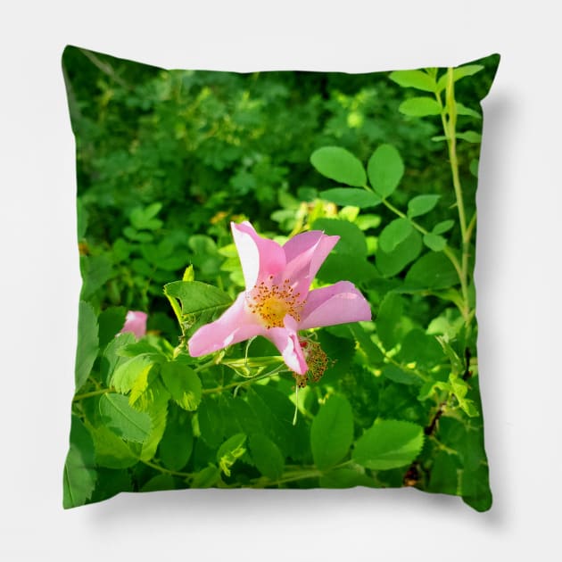 Wild Rose Pillow by Kyarwon