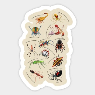 Red Bubble Spider | Sticker