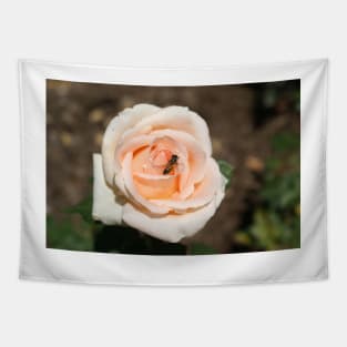 Pink rose Tapestry