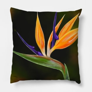 Bird of Paradise Pillow