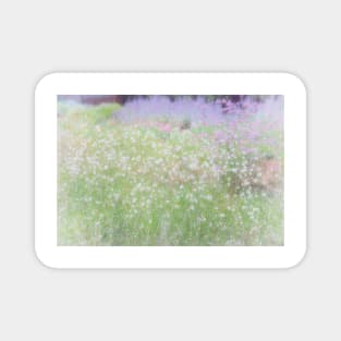 Muted pastel shades of summer flowers Magnet