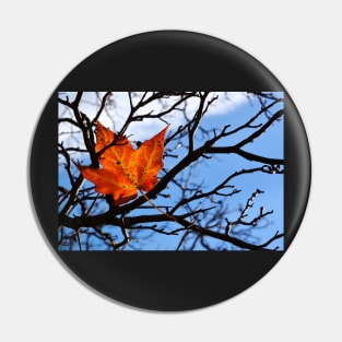 Fallen Red Maple Leaf Pin