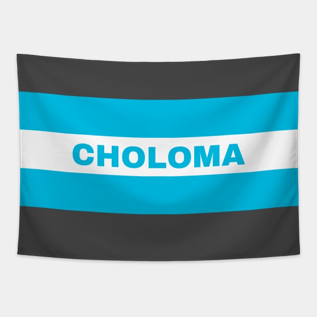 Choloma City in Honduras Flag Colors Tapestry by aybe7elf