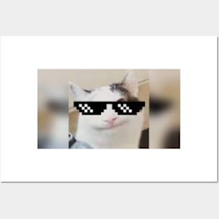 Beluga Discord - Beluga Cat - Pixel Pink Glasses Poster for Sale by  DiensDesign