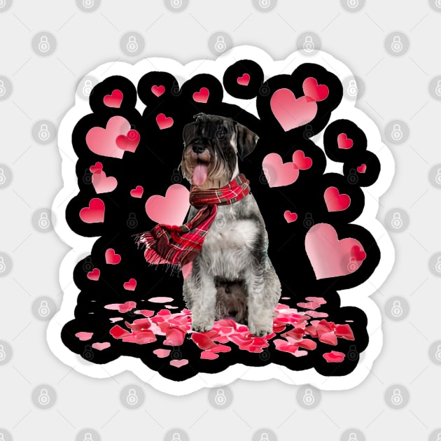 Standard Schnauzer Hearts Love Happy Valentine's Day Magnet by cyberpunk art