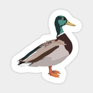 Walking Duck Magnet