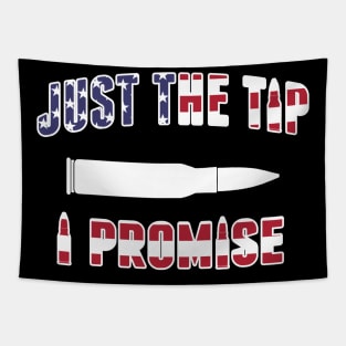 Just The Tip I Promise Gun Lovers Tapestry