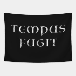 Tempus Fugit, Roman Latin Motto - Marble over Blood Red Leather Tapestry