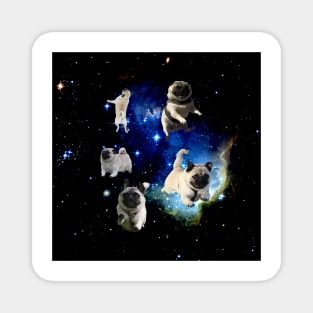 Space Pugs Magnet