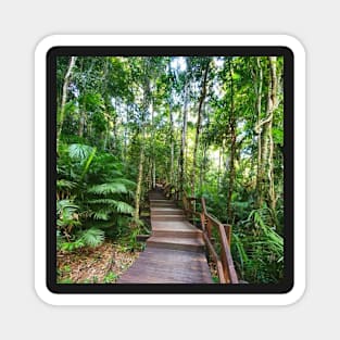 Stairway to Rainforest Heaven Magnet