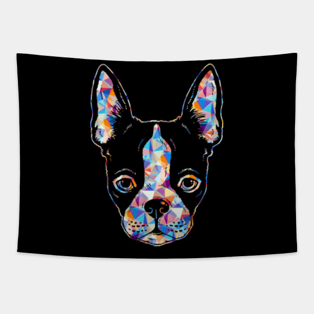 Diamond Painting Rainbow Colored Boston Terrier Face Boston