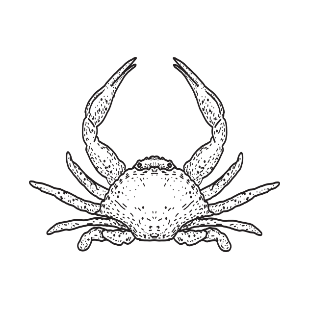 Crab drawing by JDawnInk