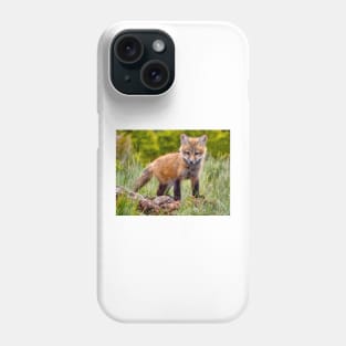 Red Fox Kit in Forest Phone Case