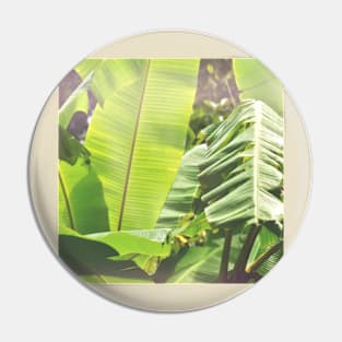 Banana Leaf Reverie Pin