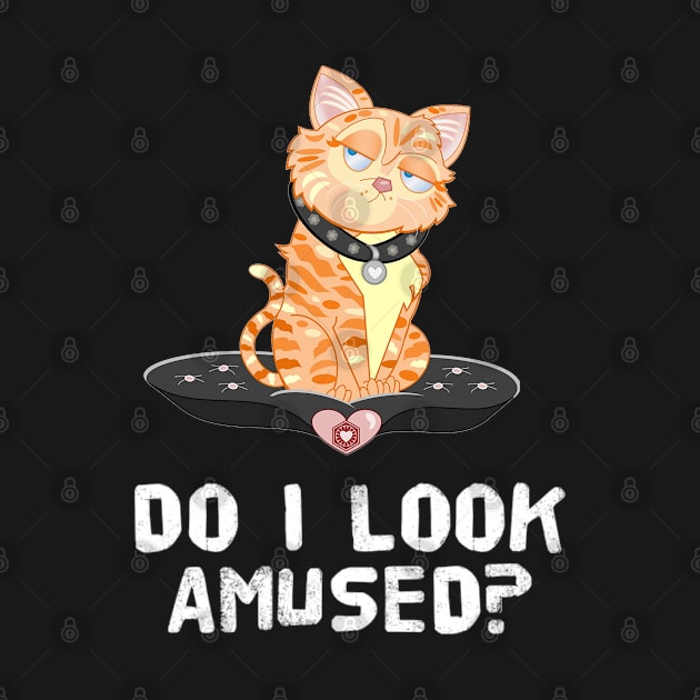 Funny Bad Mood Do I Look Amused Sarcastic Cat Saying by egcreations