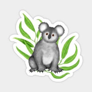 Cute Curious Koala Magnet