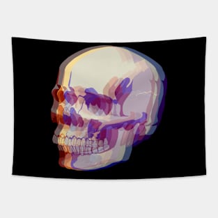 3D Skull Tapestry