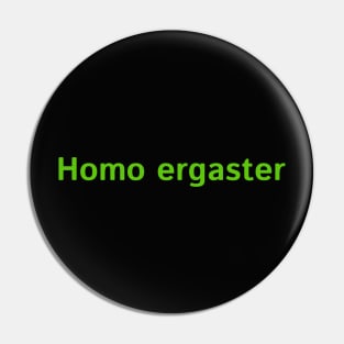 Homo ergaster Pin