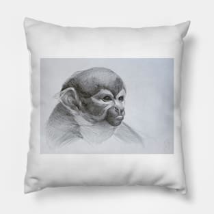 Monkey Pillow