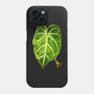 Anthurium Magnificum botanical illustration Phone Case