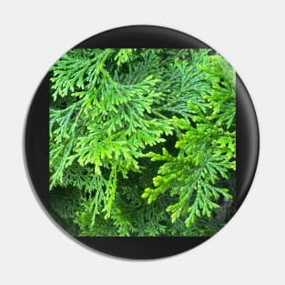 Forest Ever Green Pin