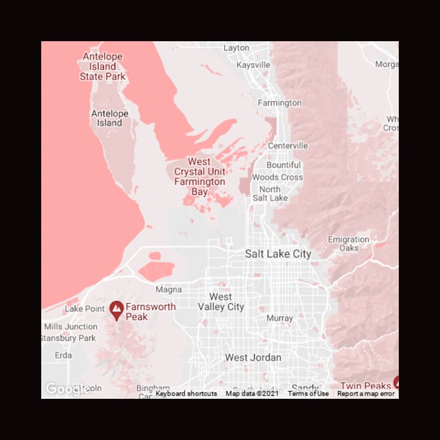 Salt lake city pink map by Mapmania