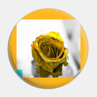 yellow rose Pin