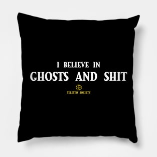 I believe in ghosts and shit Pillow