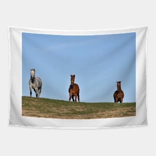 Horse herd Tapestry