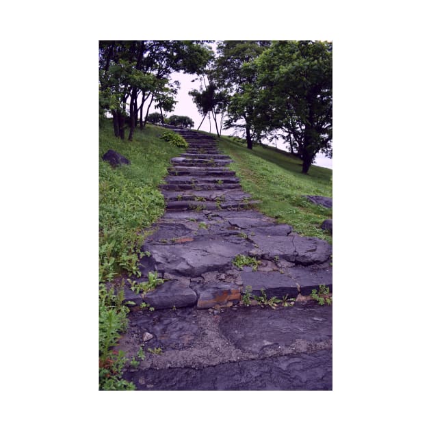 Steps on Campus of Far East Federal University, Vladivostok, Russia by IgorPozdnyakov