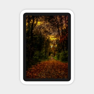 An Autumn Countryside Walk Magnet