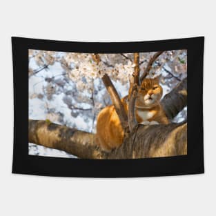 Ginger Cherry Blossom Cat Tapestry