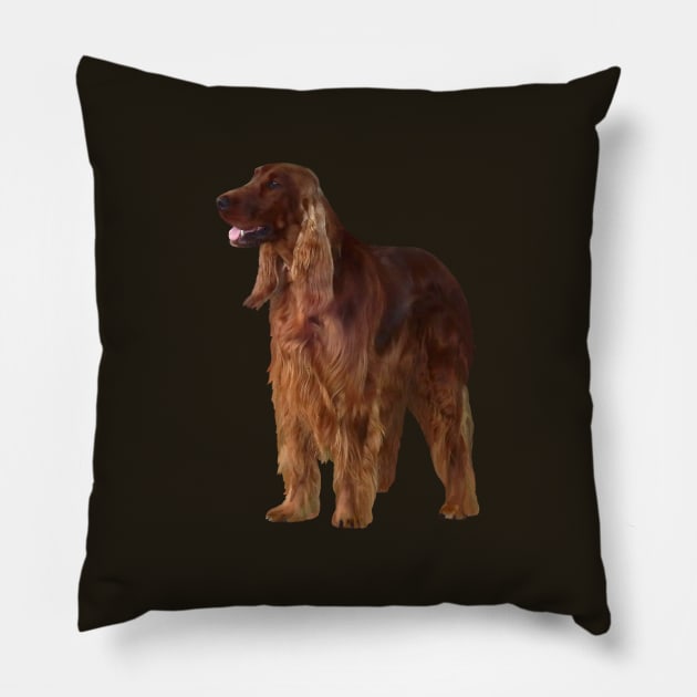 Irish Setter Pillow by SusanSavad