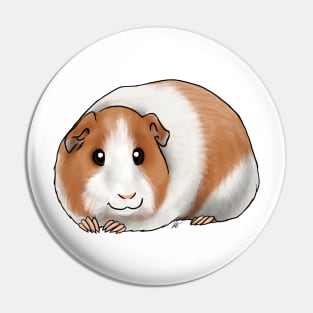 Small Mammal - American Guinea Pig - Dutch Pin