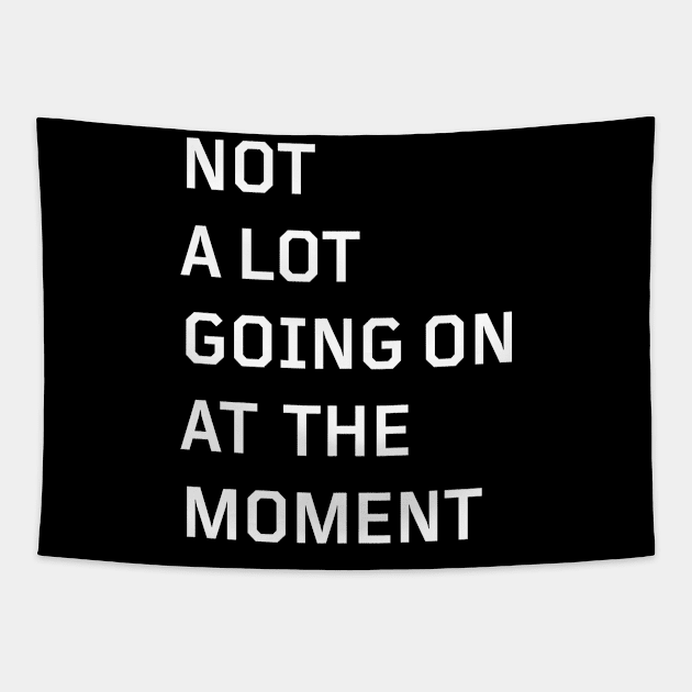 Not A Lot Going On At The Moment Tapestry by HeroGifts