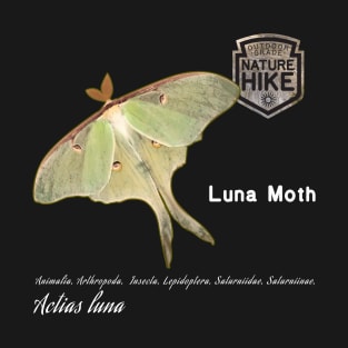 Luna Moth Taxonomy T-Shirt