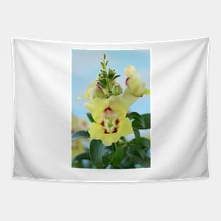 Antirrhinum  &#39;Antirinca Yellow Maroon&#39;  Snapdragon Tapestry