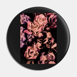 rose pink shadow roses hydrangea,black garden Pin