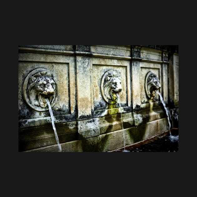 Three Lions Fountain by JimDeFazioPhotography