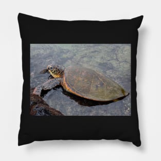 Turtle on the beach in Kona - Big Island Hawaii Pillow