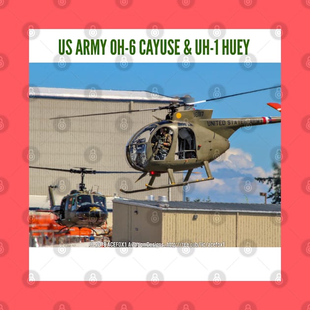 US Army OH-6 Cayuse and UH-1 Huey by acefox1