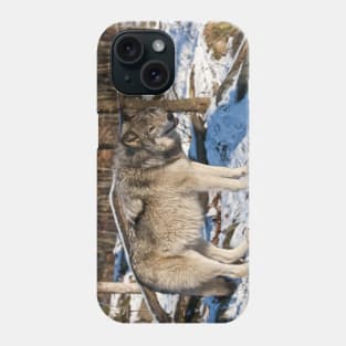 Gray Wolf Phone Case