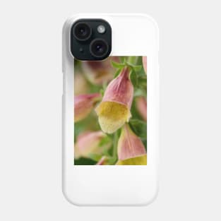 Digitalis  &#39;Polkadot Pandora&#39;  Foxglove Phone Case