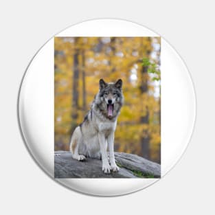 Timber Wolf Pin