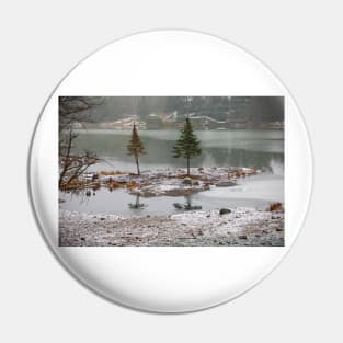 Winter Reflections Pin