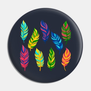 bright colored feathers Pin