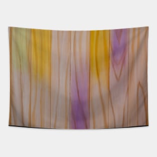 Abstract multi coloured wooden effect background Tapestry