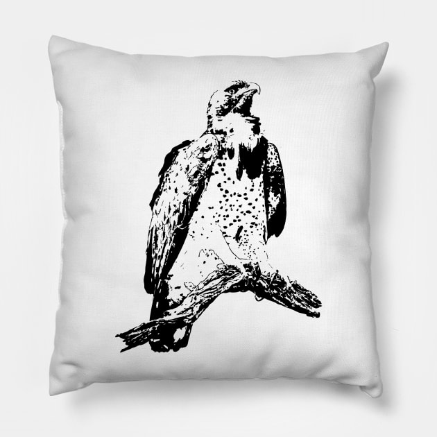 Majestic Martial Eagle | African Wildlife Pillow by scotch